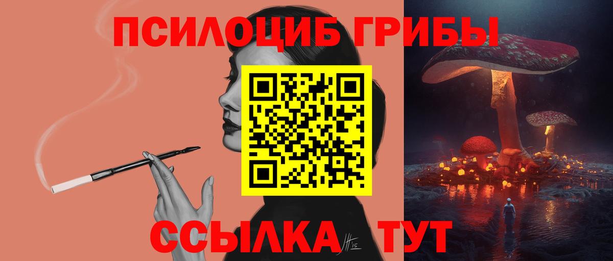 Галлюциногенные грибы Psilocybine cubensis Реутов